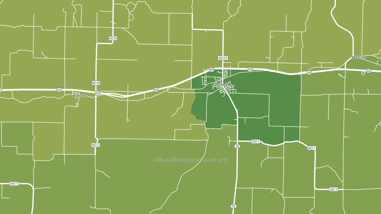 Birch Tree, MO block-group voter-turnout map