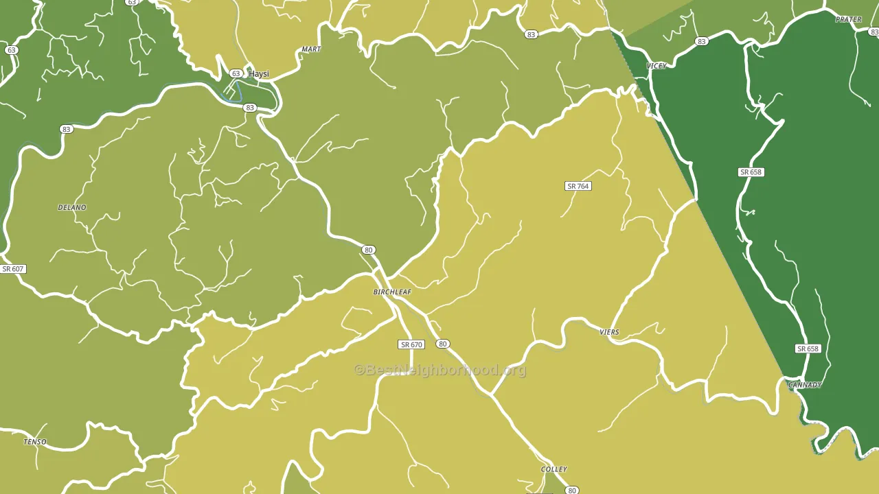 Birchleaf, VA block-group voter-turnout map