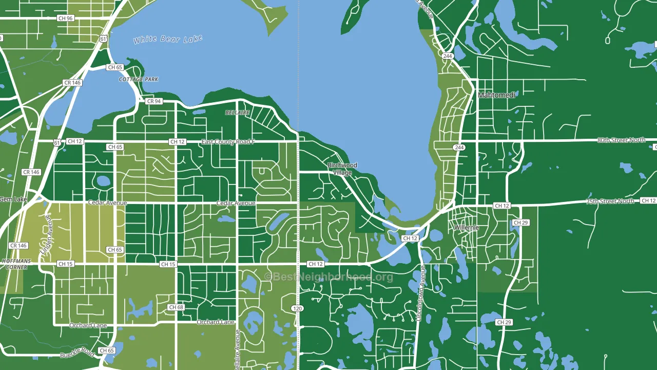 Birchwood Village, MN block-group voter-turnout map