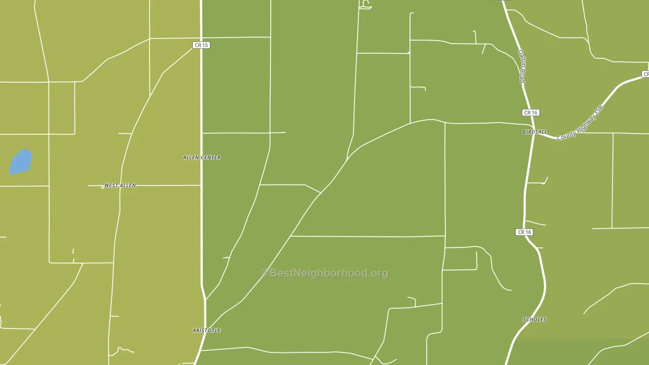 Birdsall, NY block-group voter-turnout map