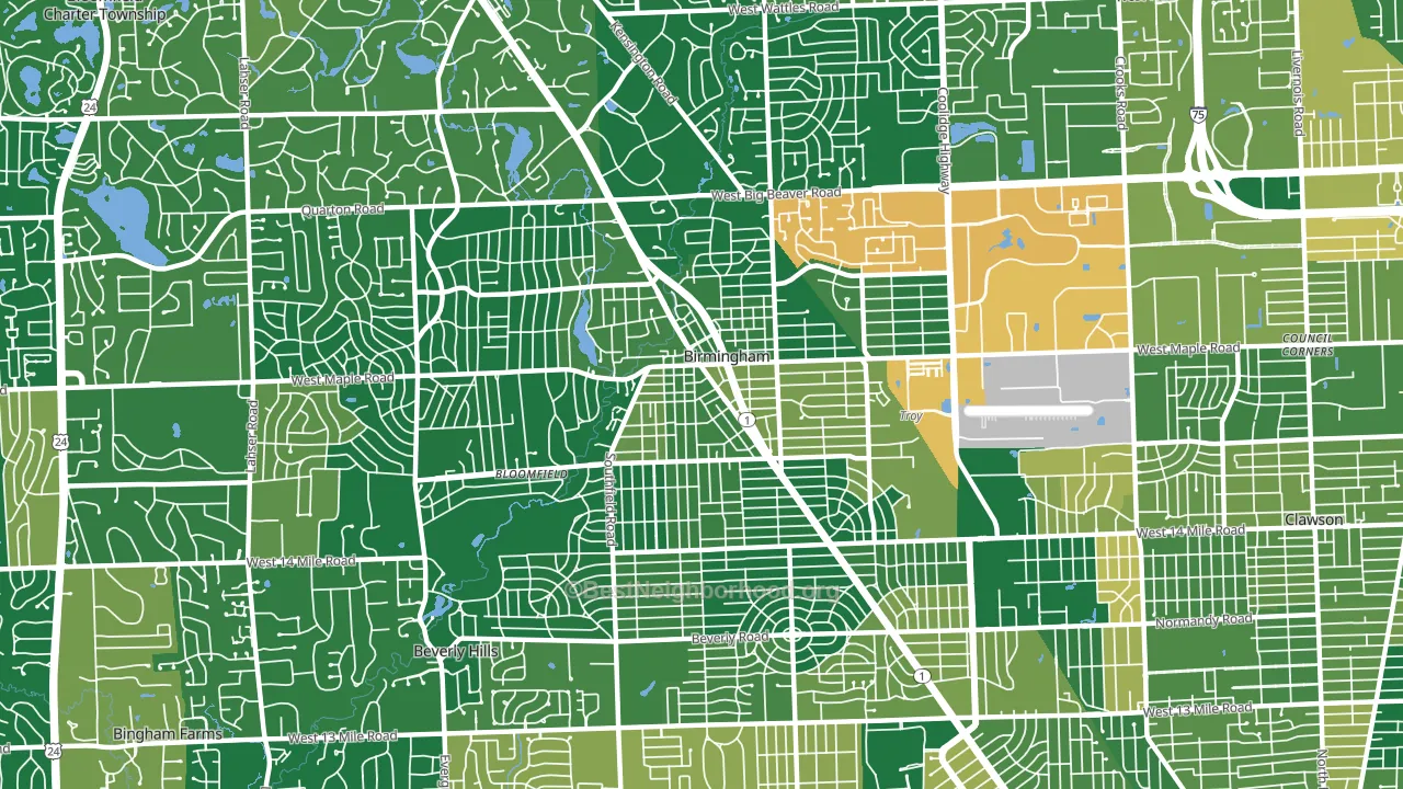 Birmingham, MI block-group voter-turnout map