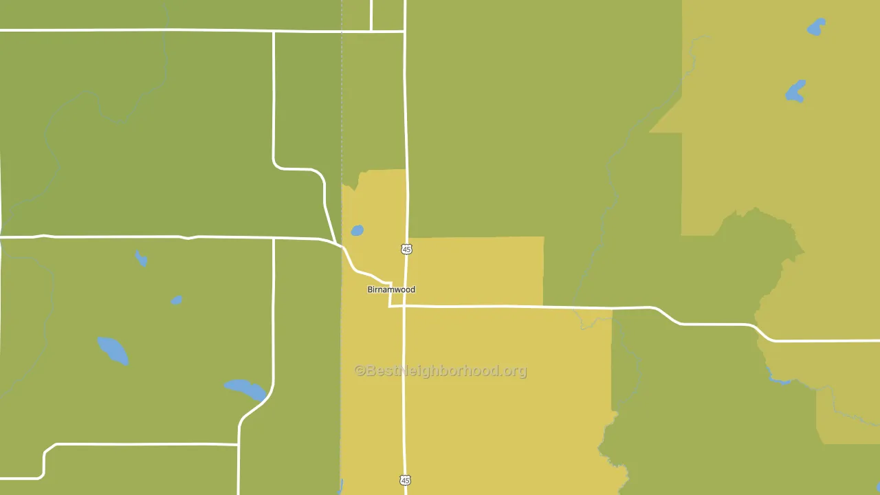 Birnamwood, WI block-group voter-turnout map
