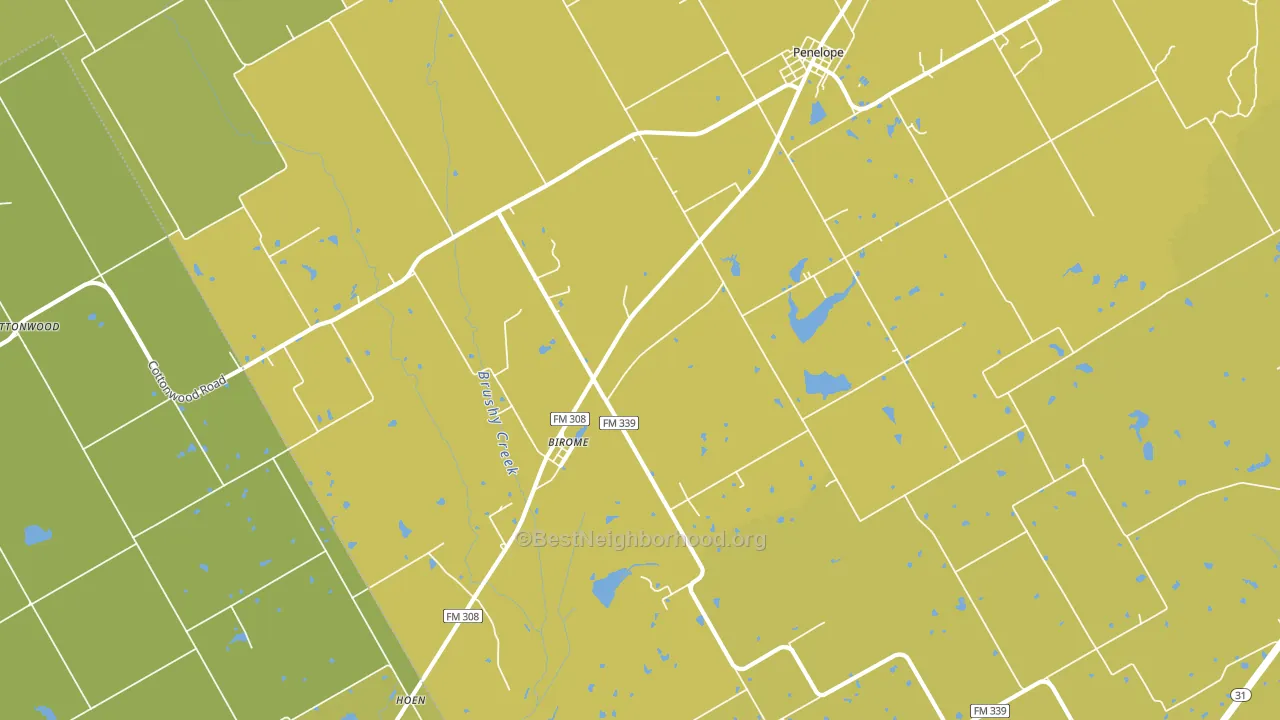 Birome, TX block-group voter-turnout map