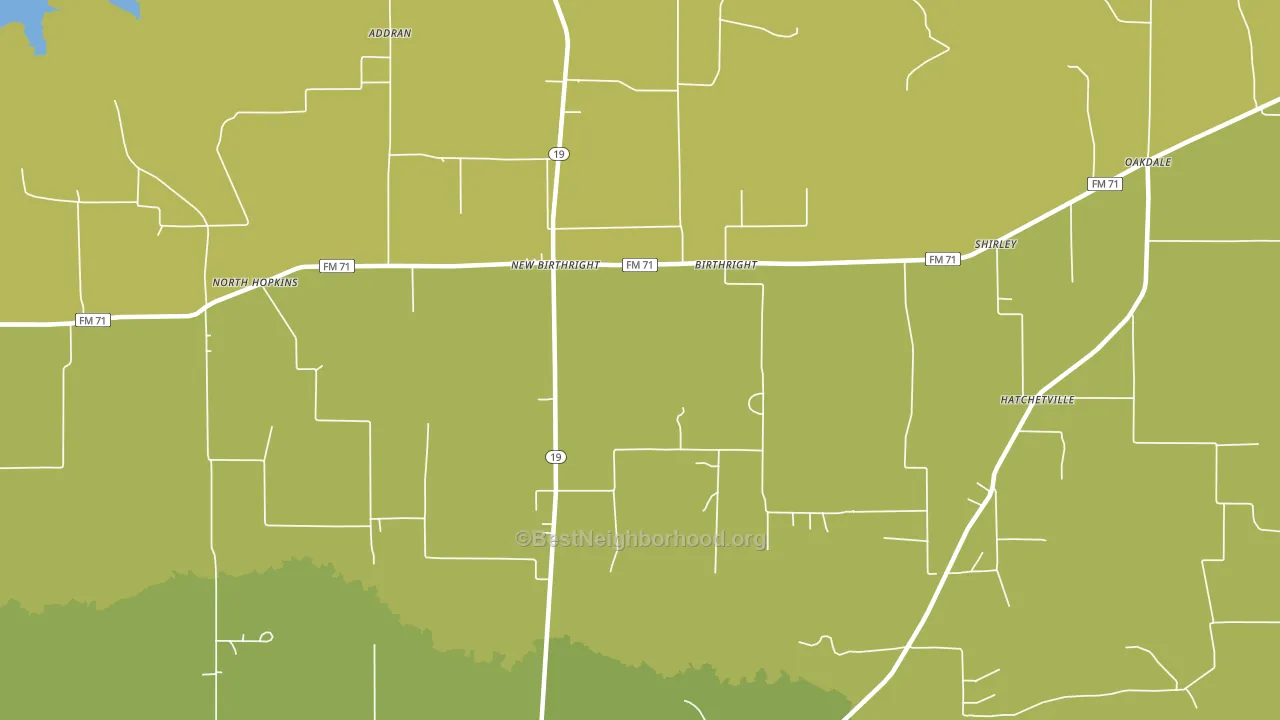 Birthright, TX block-group voter-turnout map