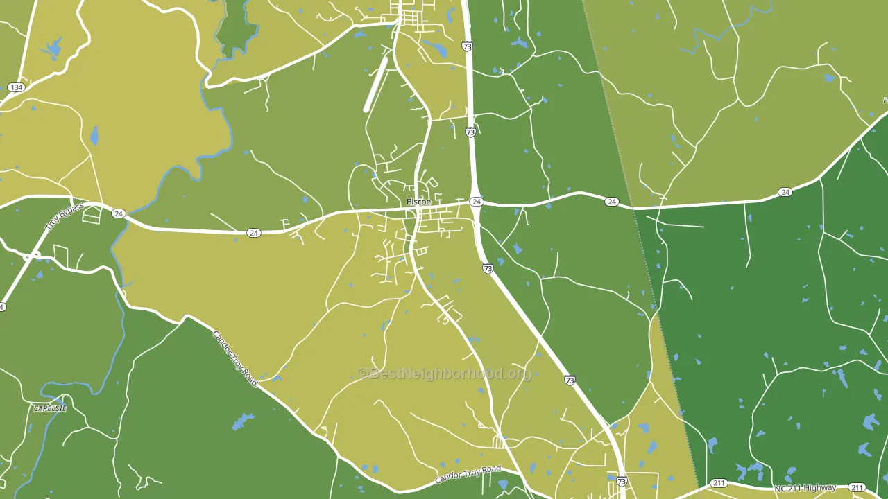 Biscoe, NC block-group voter-turnout map