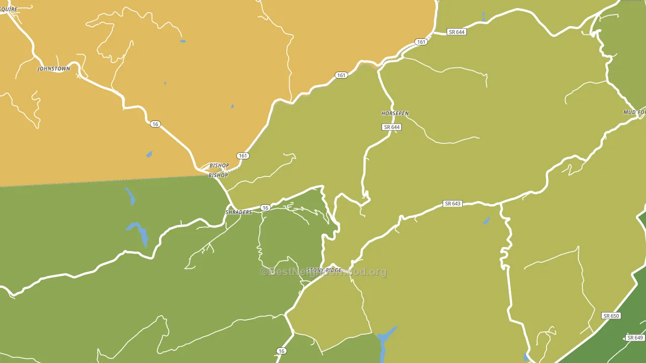 Bishop, VA block-group voter-turnout map