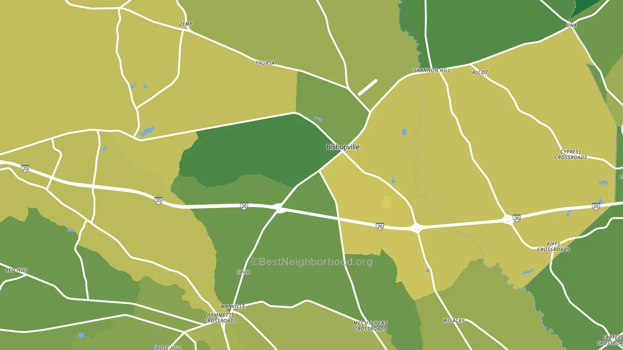 Bishopville, SC block-group voter-turnout map
