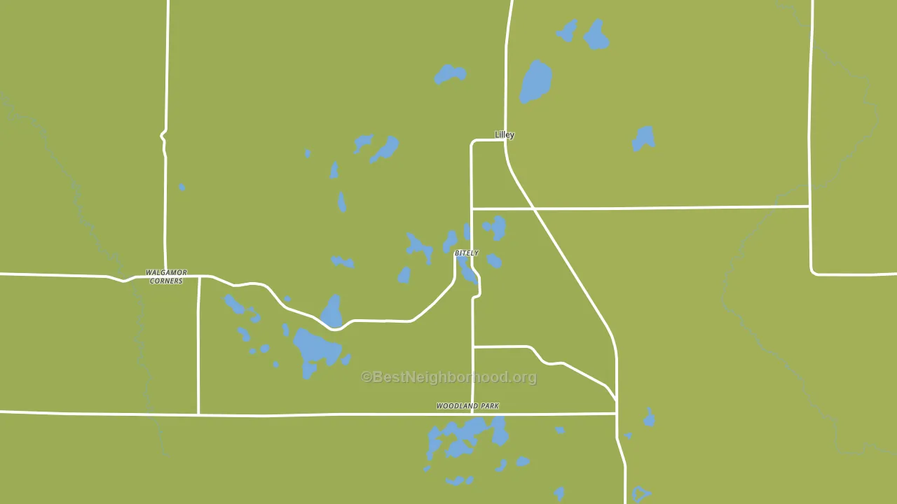 Bitely, MI block-group voter-turnout map