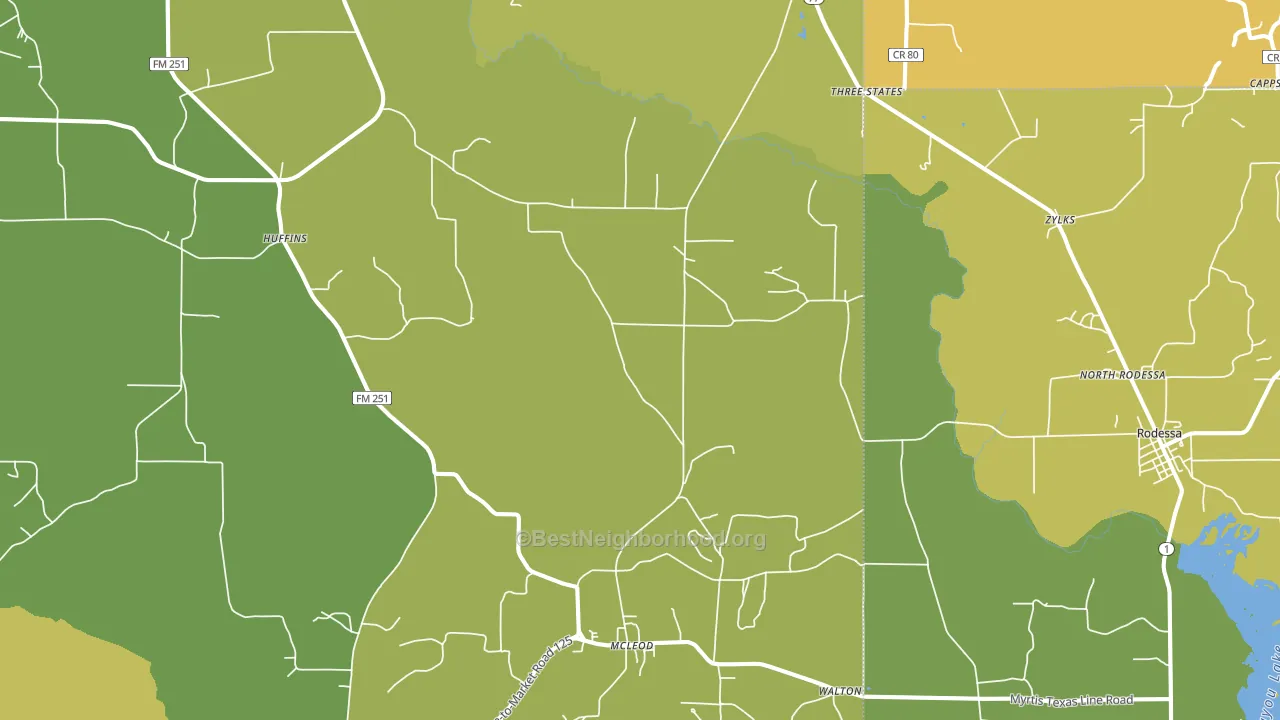 Bivins, TX block-group voter-turnout map