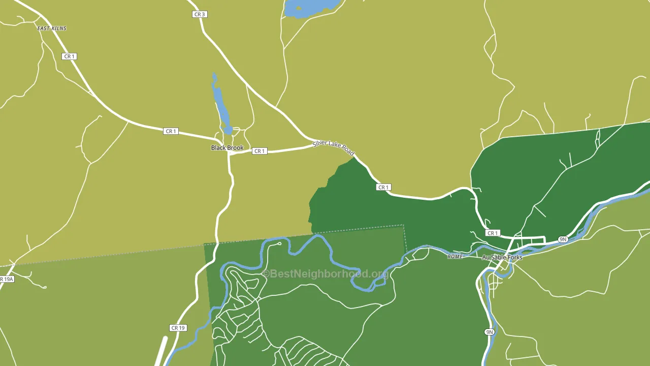 Black Brook, NY block-group voter-turnout map