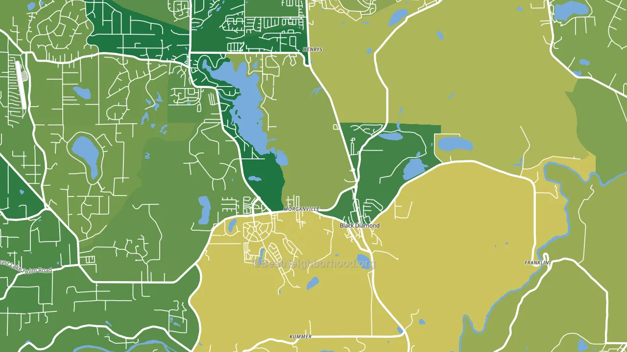 Black Diamond, WA block-group voter-turnout map