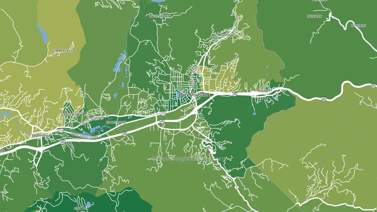 Black Mountain, NC block-group voter-turnout map