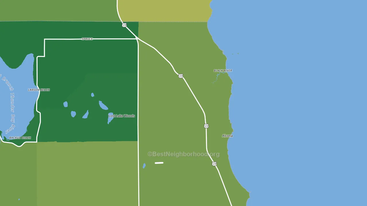 Black River, MI block-group voter-turnout map