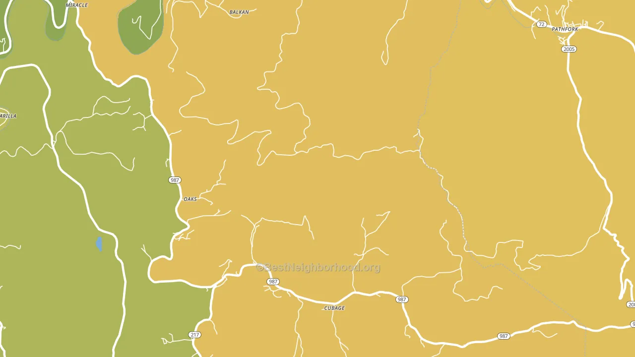 Black Snake, KY block-group voter-turnout map