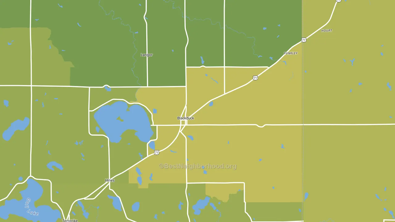 Blackduck, MN block-group voter-turnout map