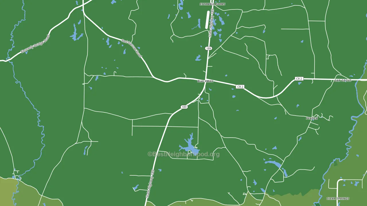 Blackman, FL block-group voter-turnout map