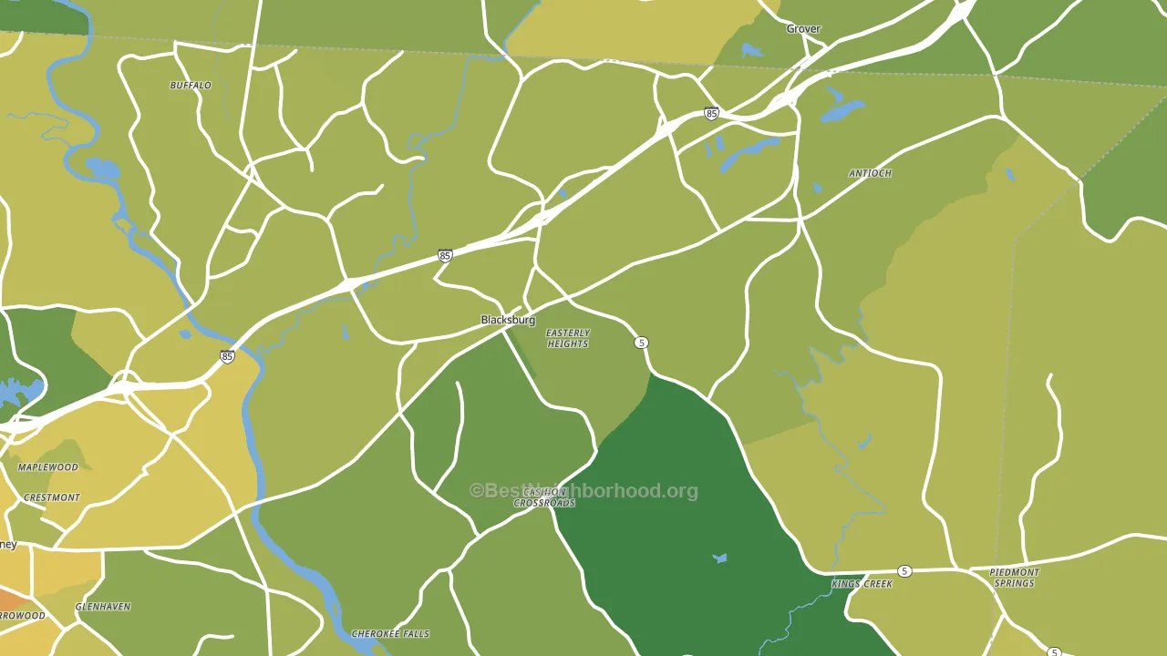 Blacksburg, SC block-group voter-turnout map