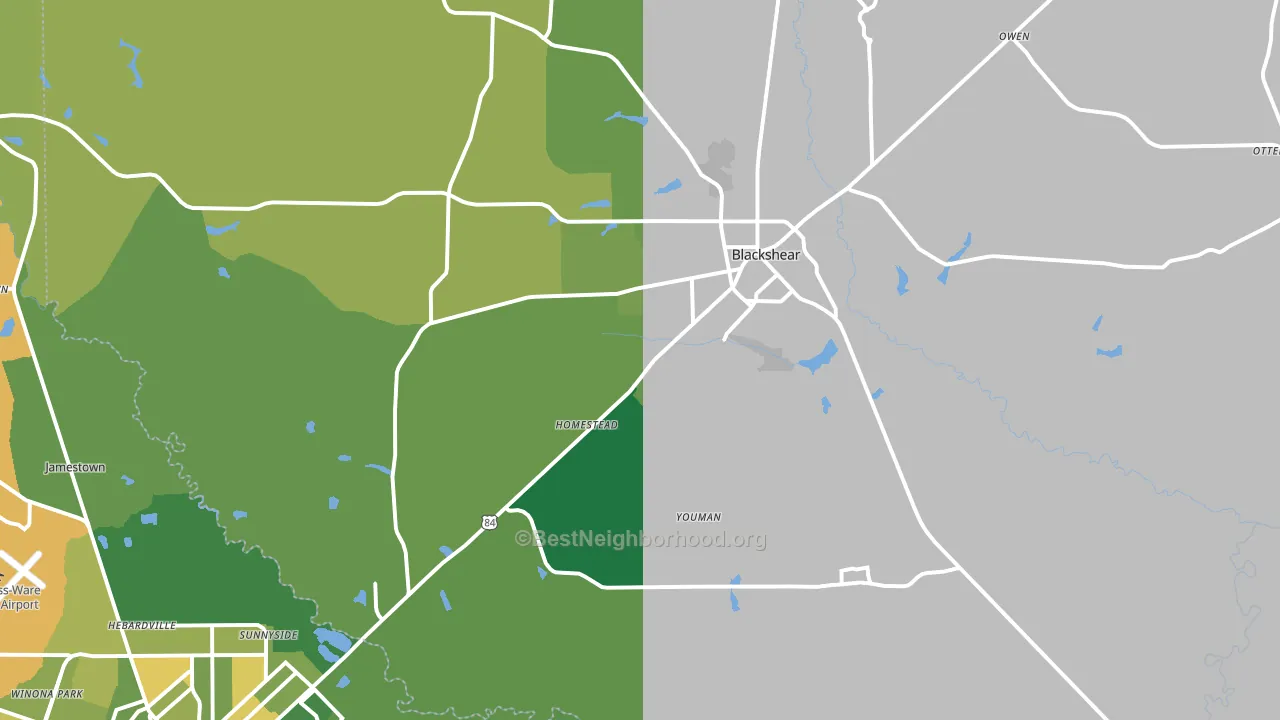Blackshear, GA block-group voter-turnout map