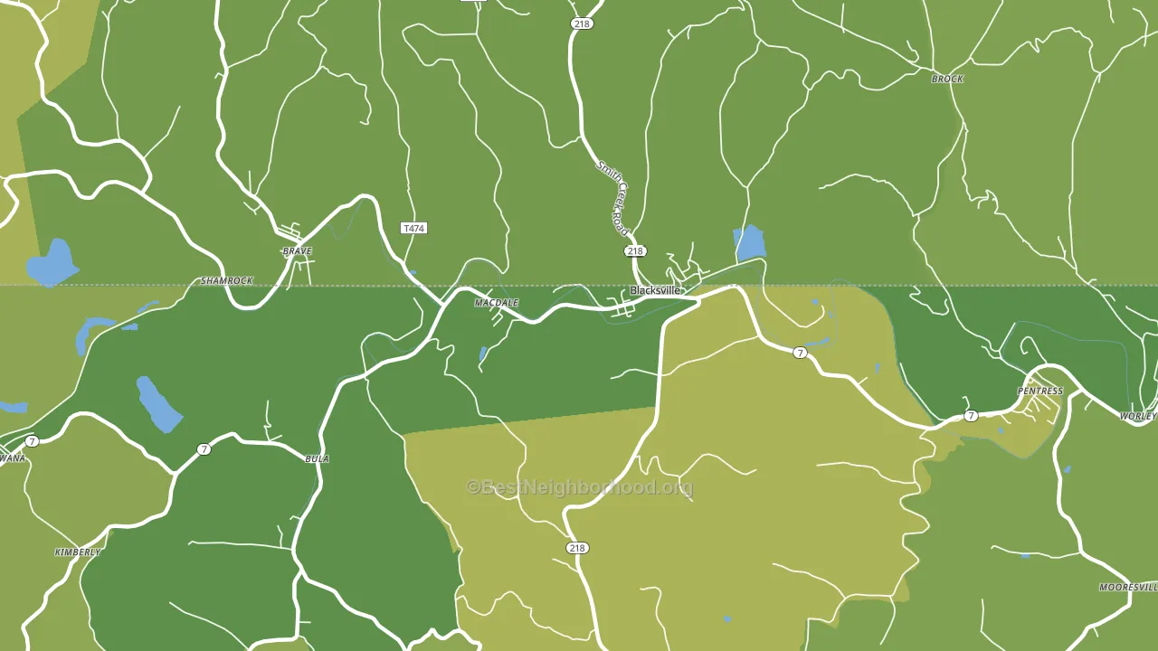 Blacksville, WV block-group voter-turnout map