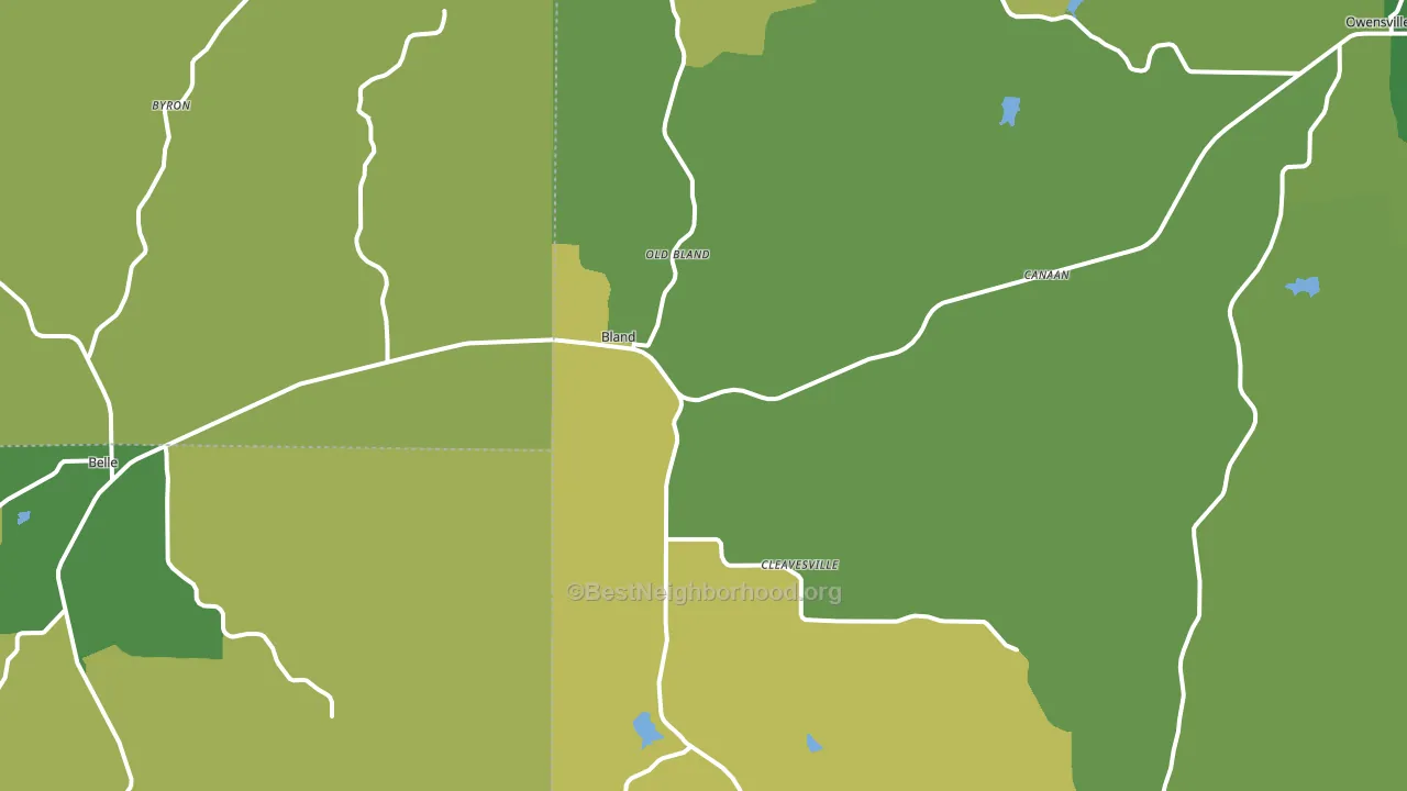 Bland, MO block-group voter-turnout map