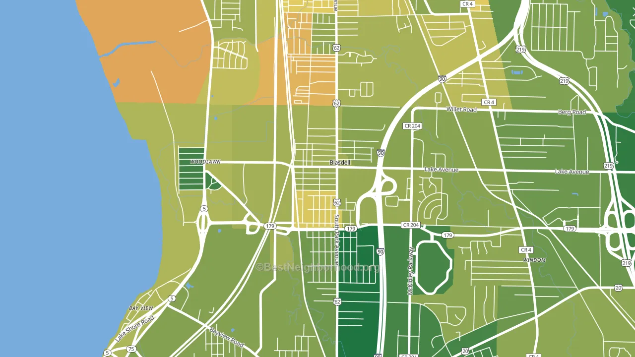 Blasdell, NY block-group voter-turnout map