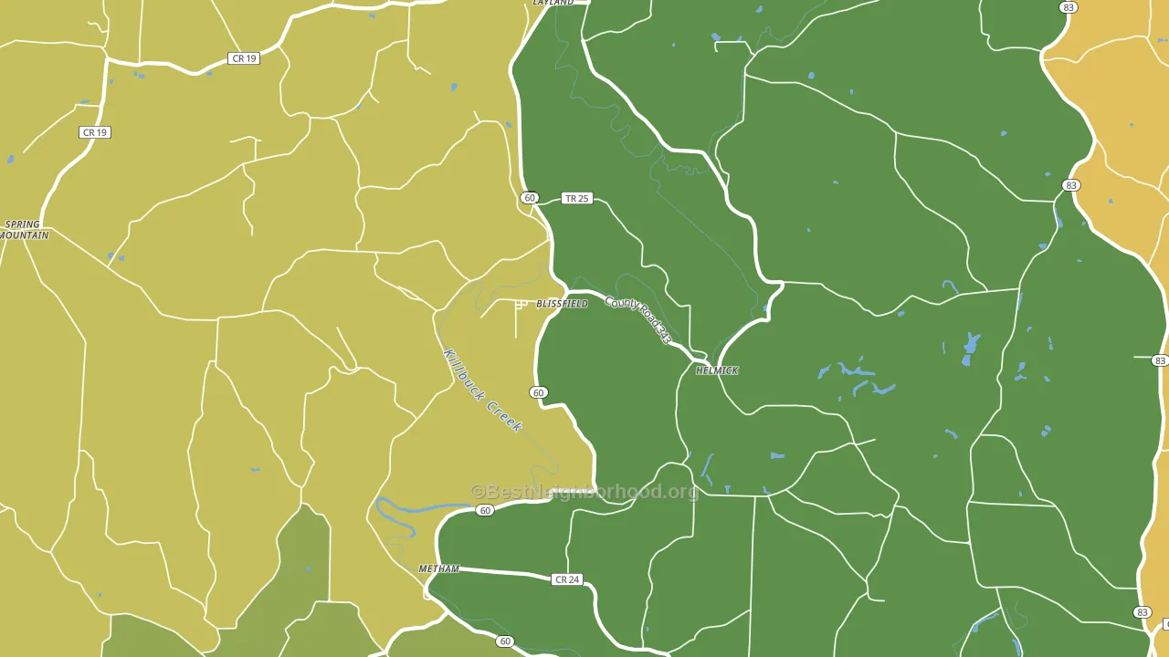 Blissfield, OH block-group voter-turnout map