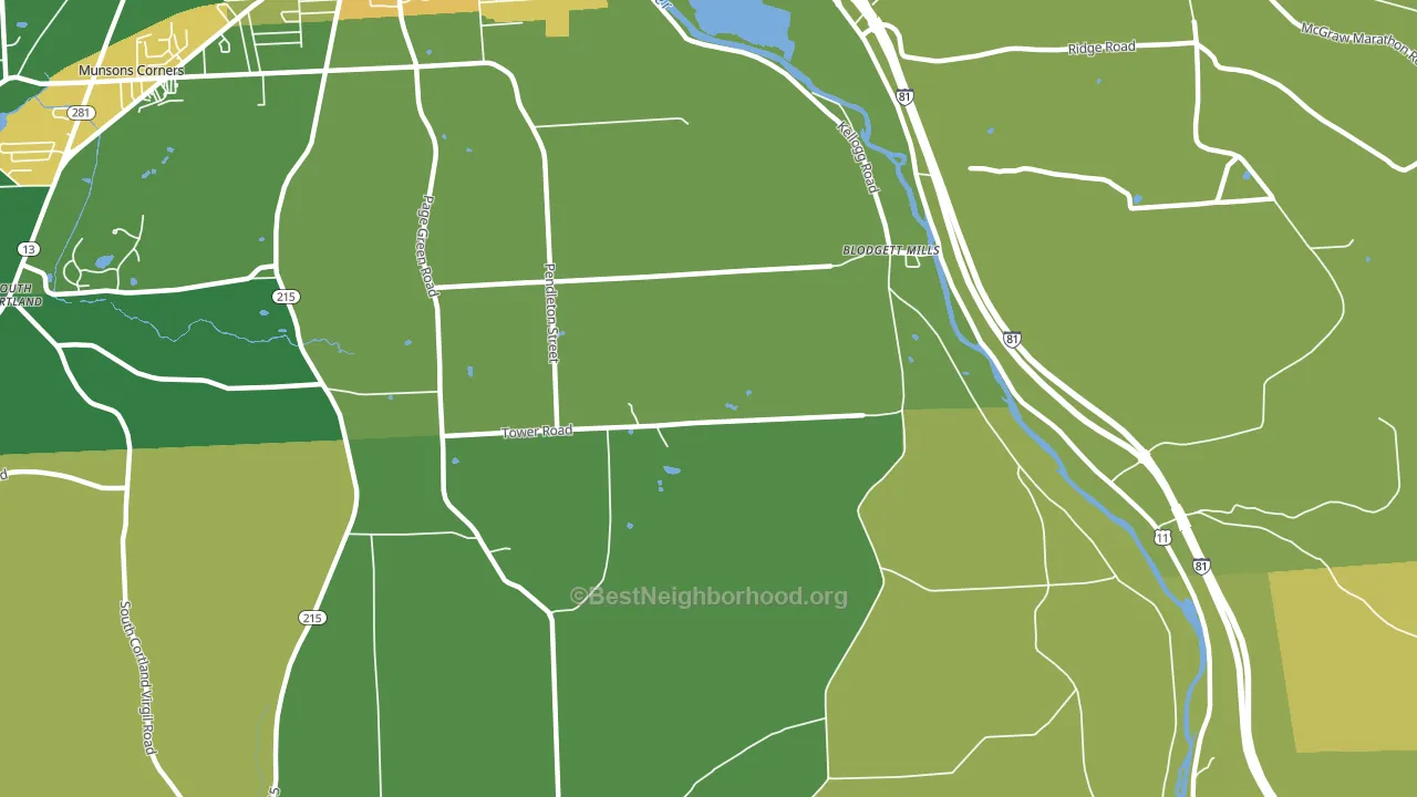 Blodgett Mills, NY block-group voter-turnout map
