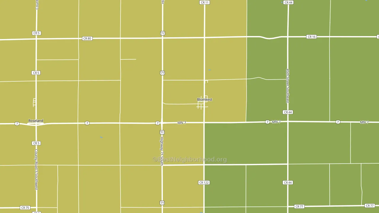 Blomkest, MN block-group voter-turnout map