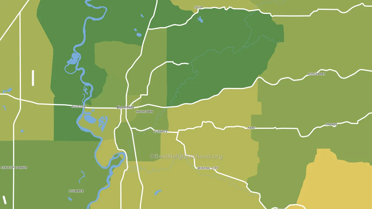 Bloomfield, IN block-group voter-turnout map