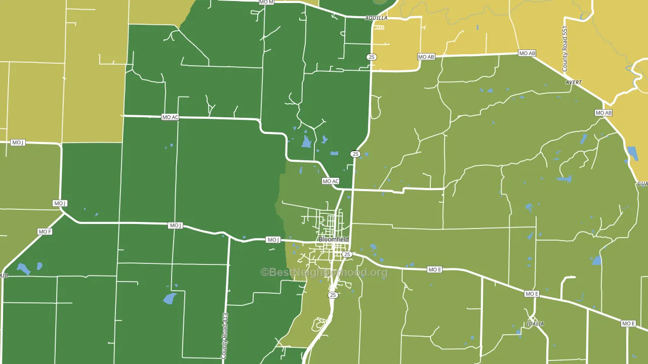 Bloomfield, MO block-group voter-turnout map