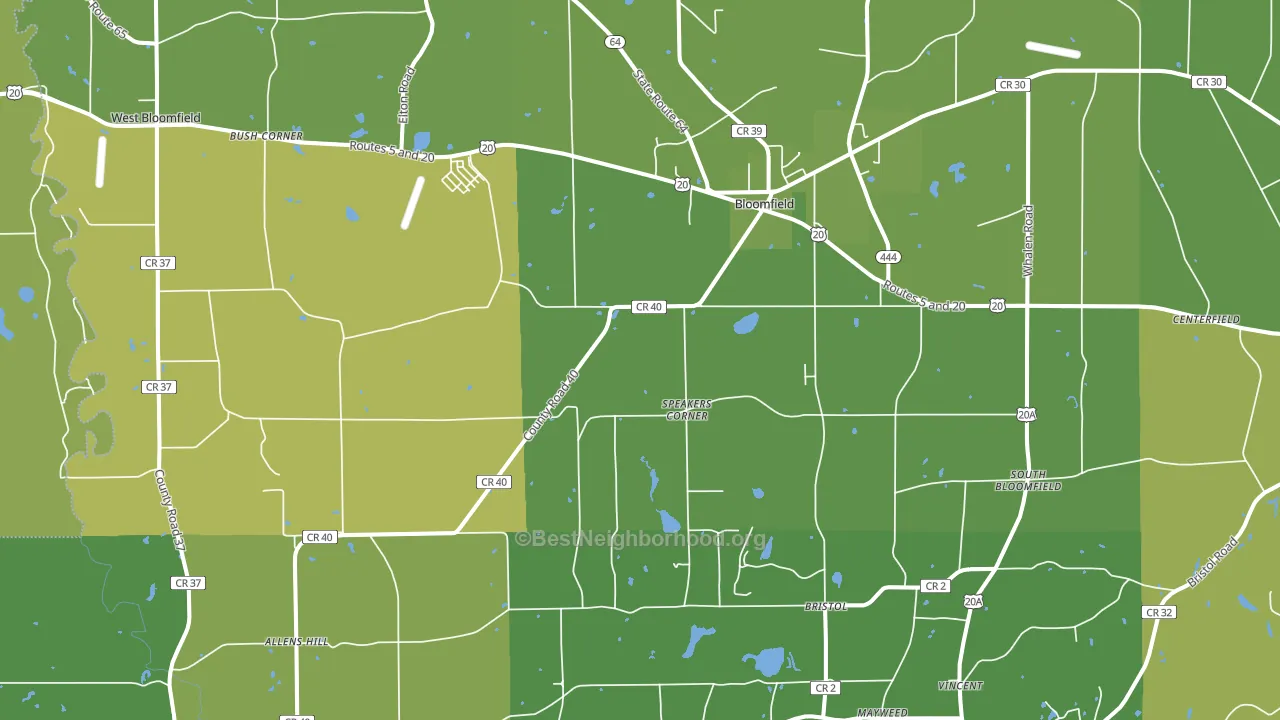 Bloomfield, NY block-group voter-turnout map