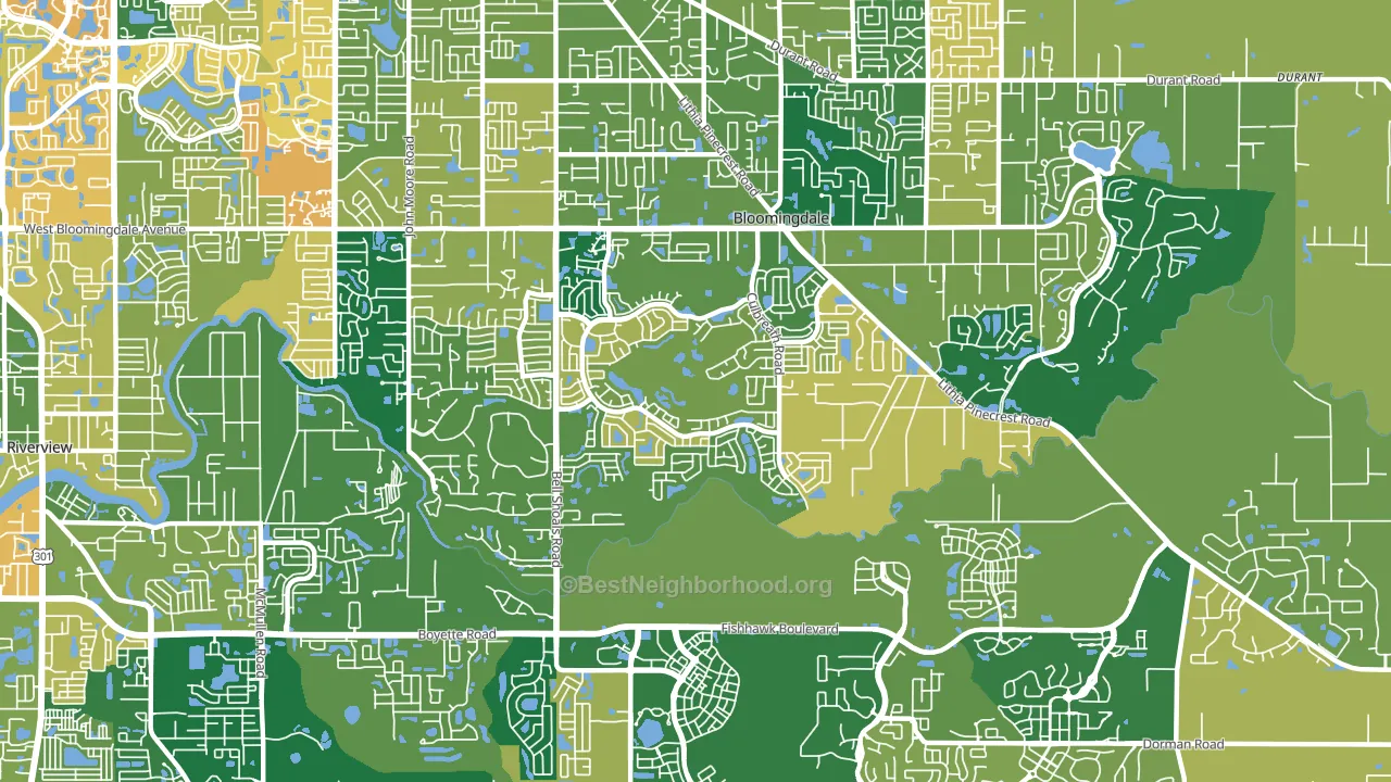 Bloomingdale, FL block-group voter-turnout map