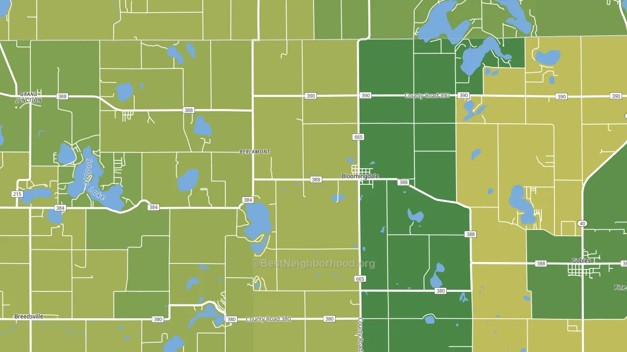 Bloomingdale, MI block-group voter-turnout map