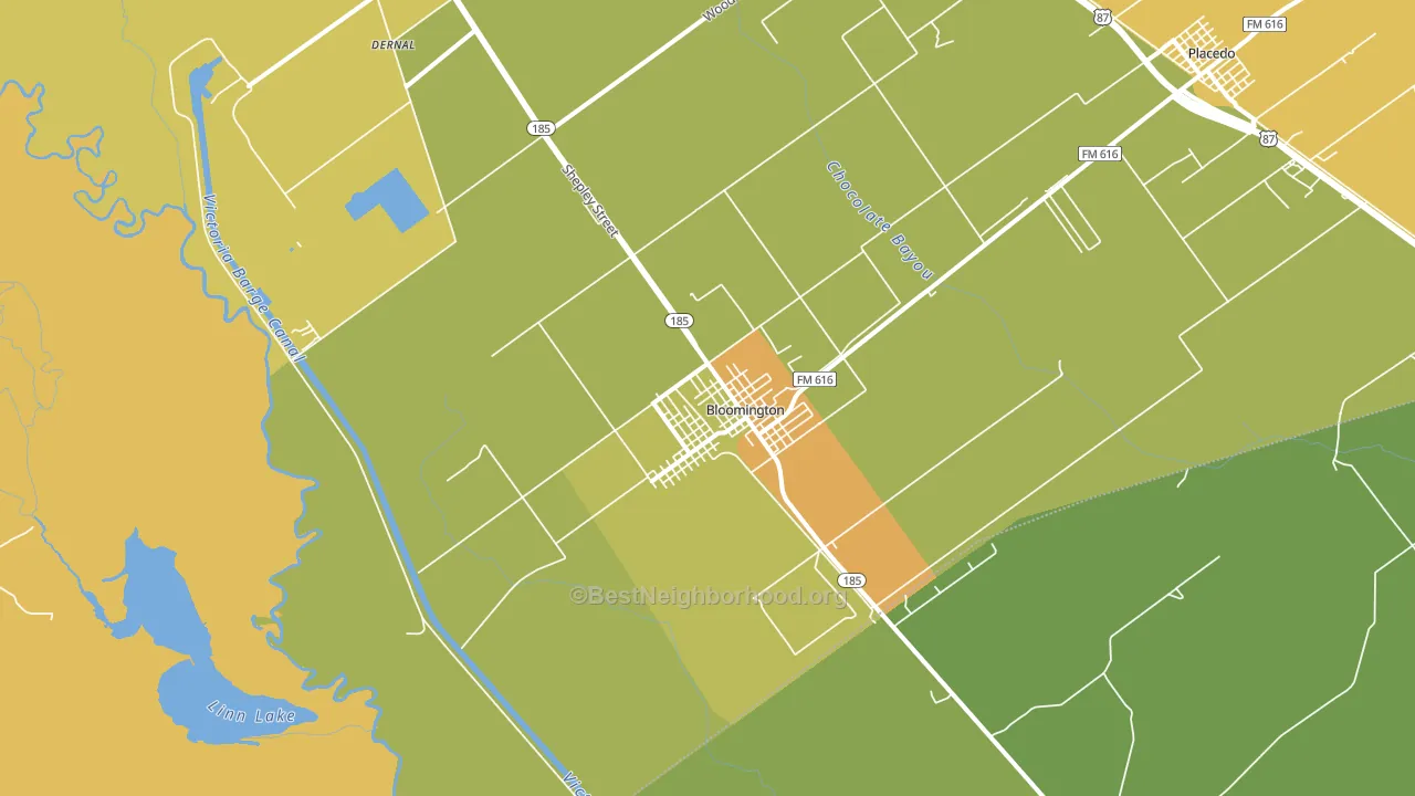 Bloomington, TX block-group voter-turnout map