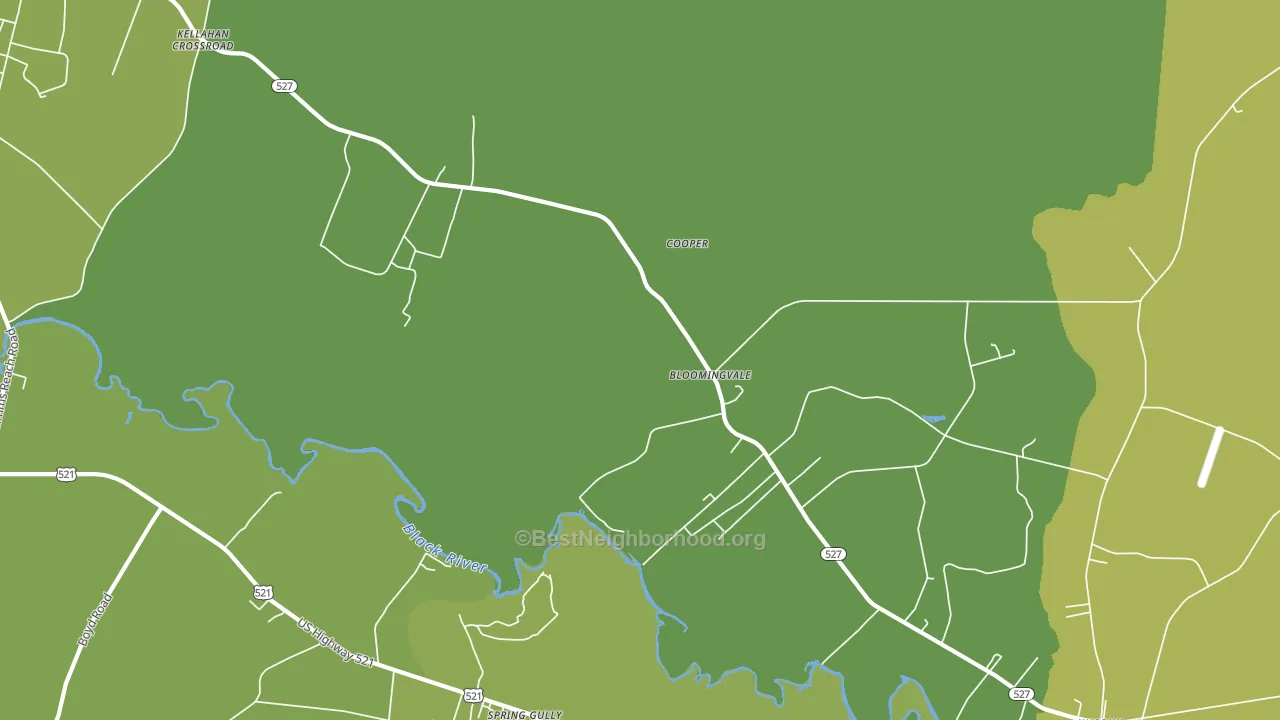 Bloomingvale, SC block-group voter-turnout map