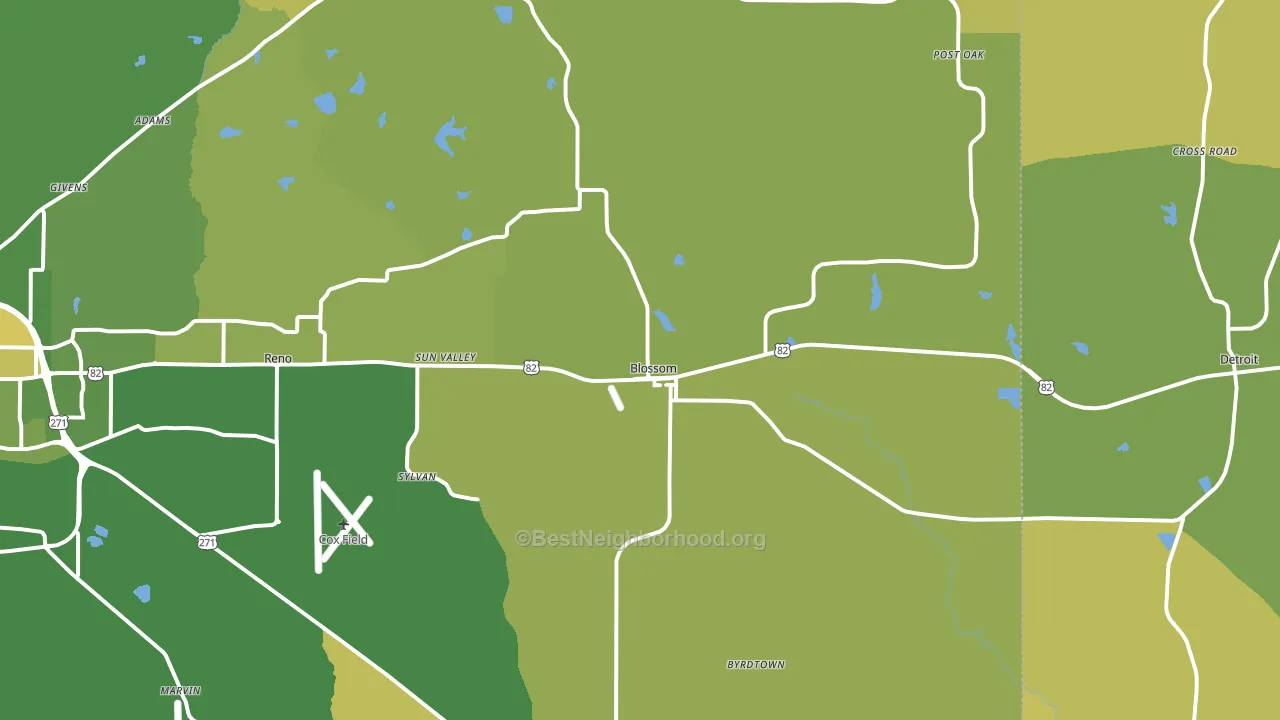 Blossom, TX block-group voter-turnout map