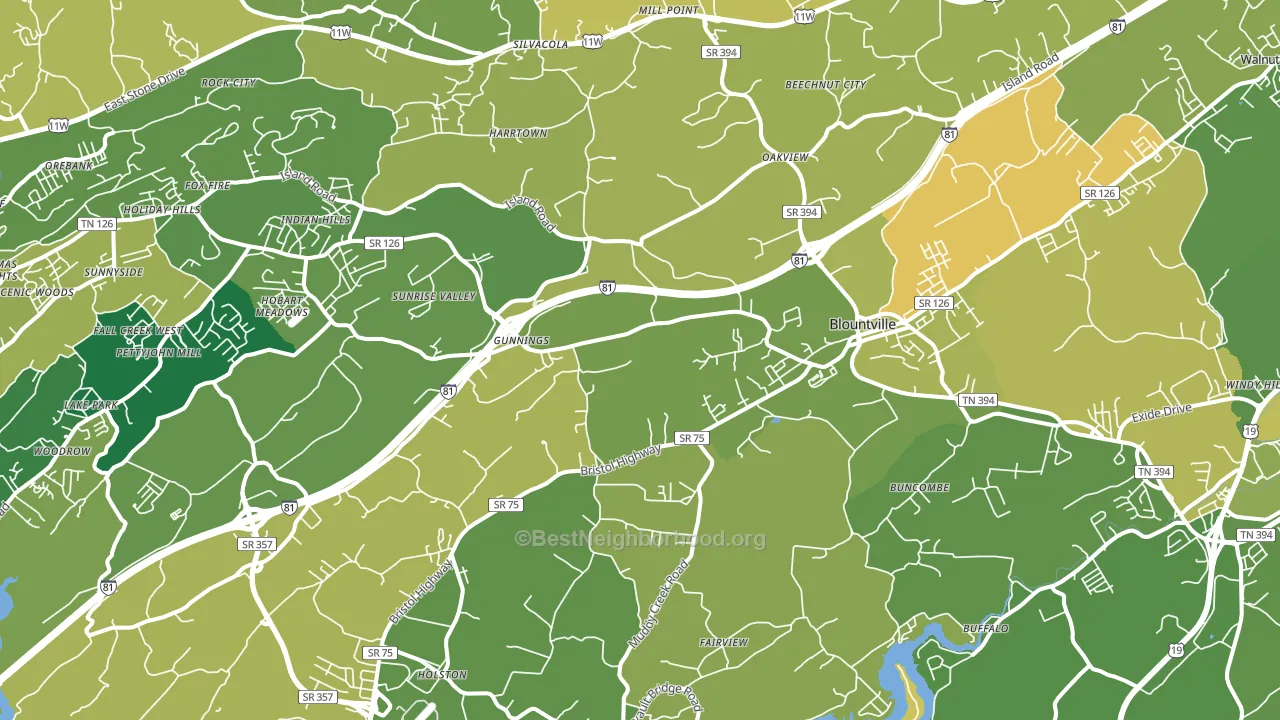 Blountville, TN block-group voter-turnout map