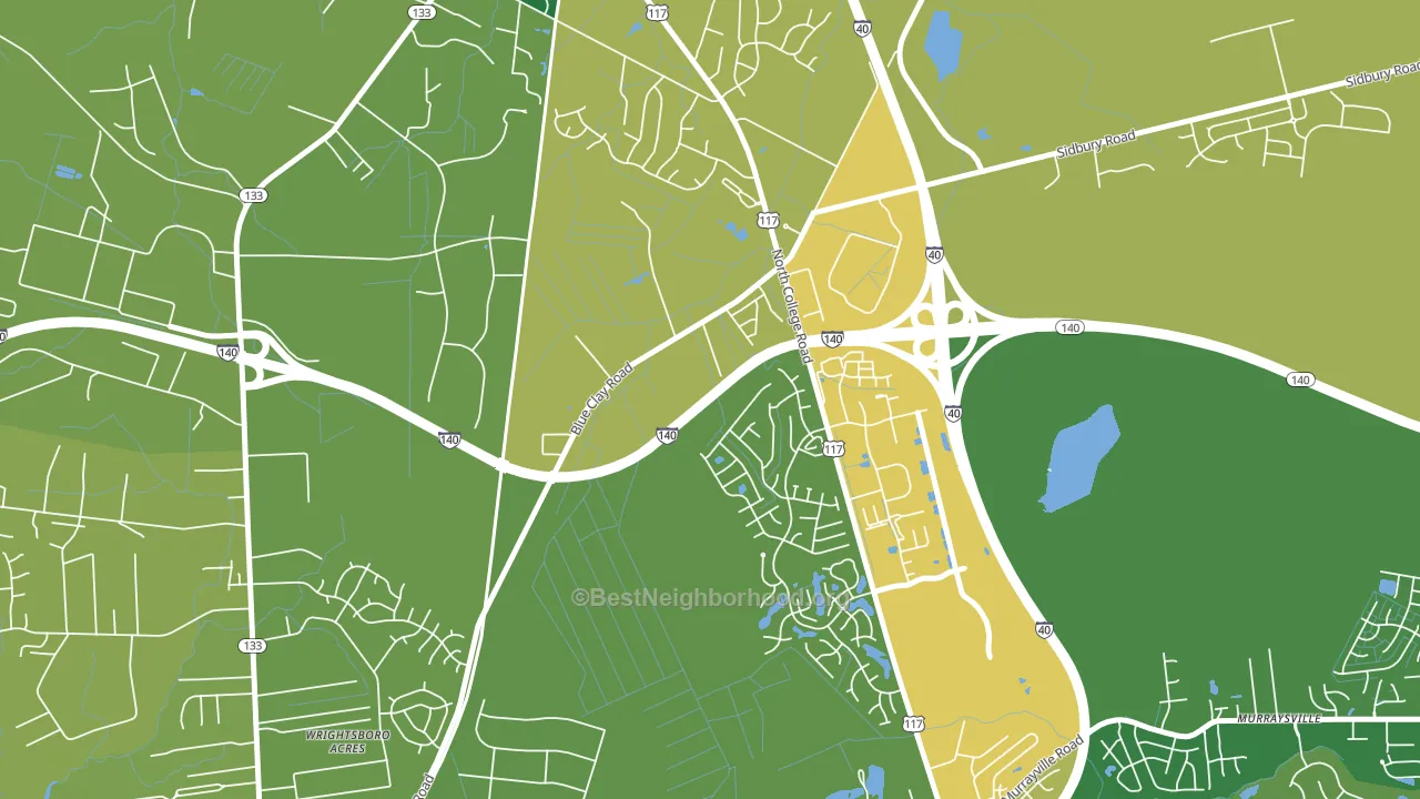 Blue Clay Farms, NC block-group voter-turnout map