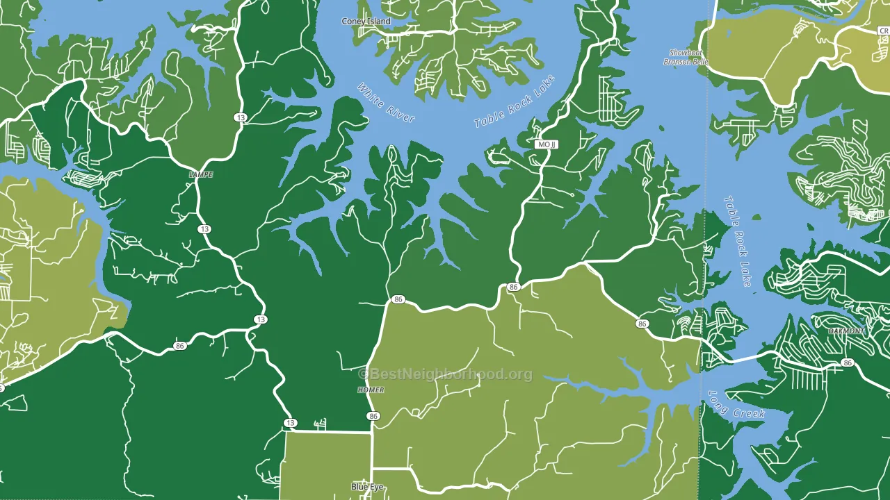 Blue Eye, MO block-group voter-turnout map