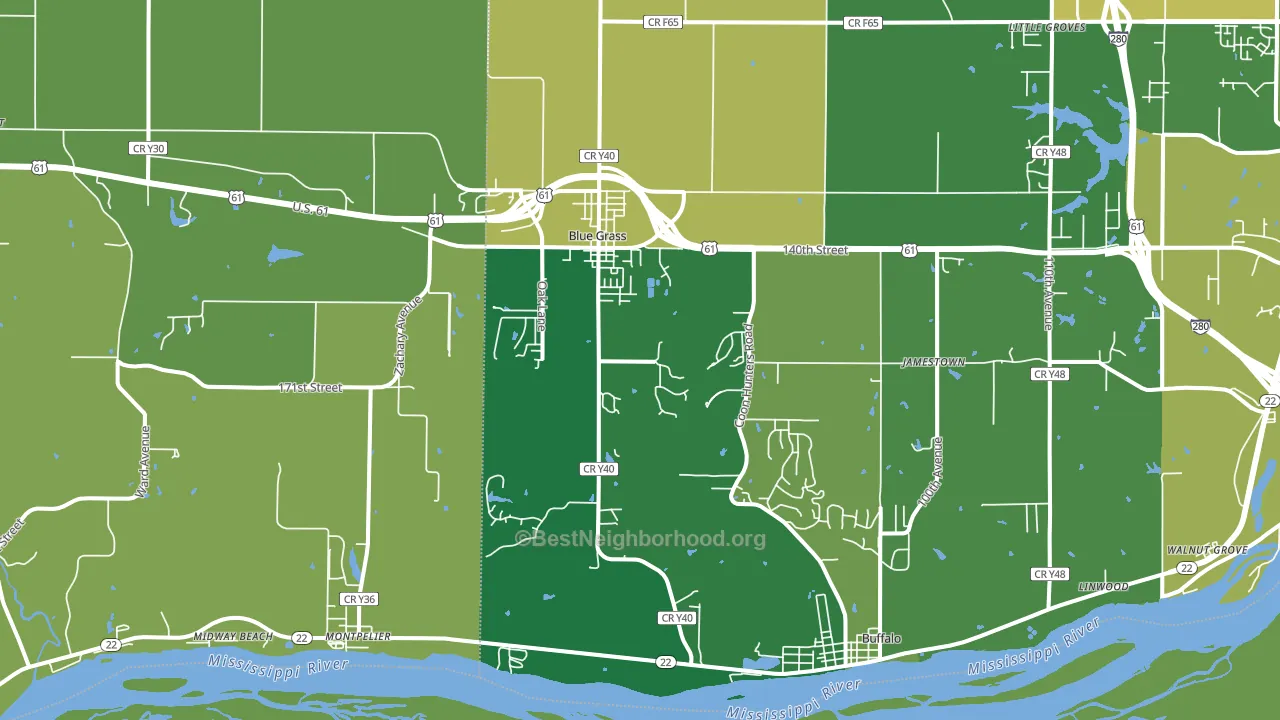 Blue Grass, IA block-group voter-turnout map