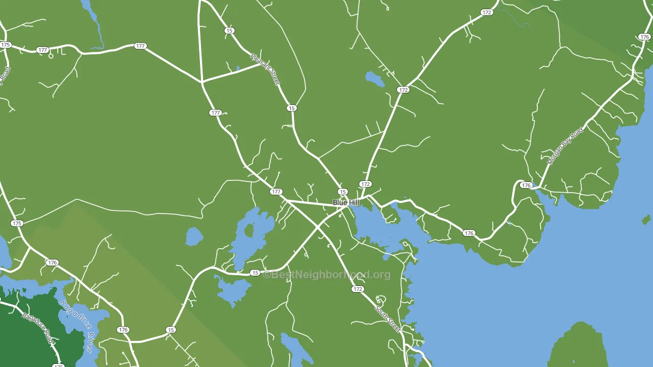 Blue Hill, ME block-group voter-turnout map
