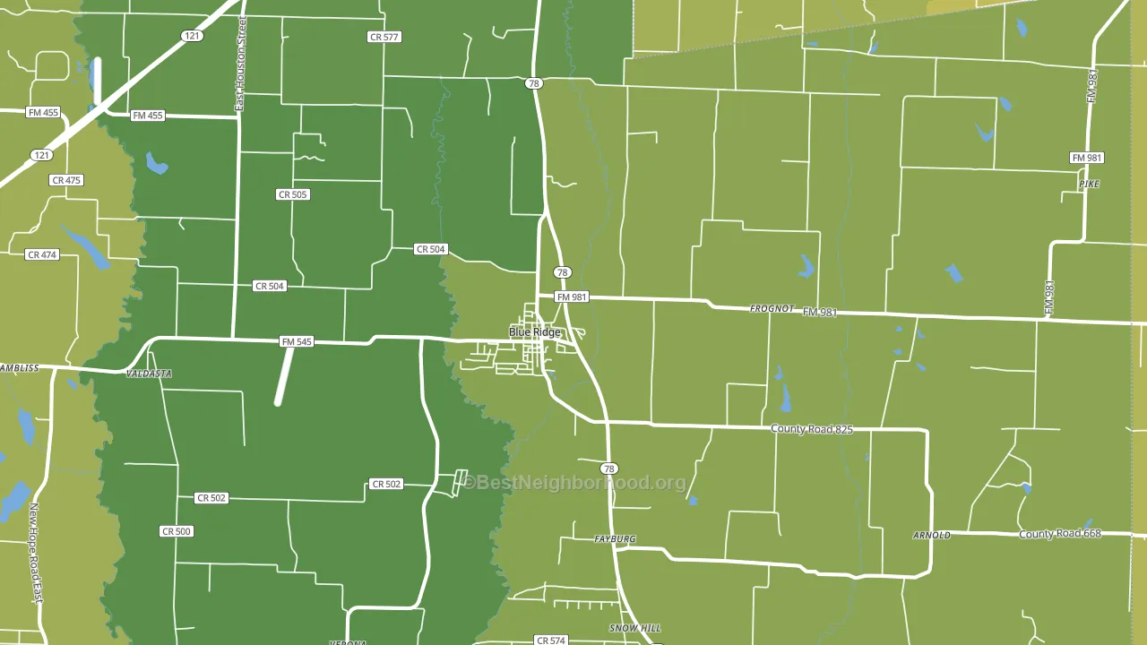 Blue Ridge, TX block-group voter-turnout map