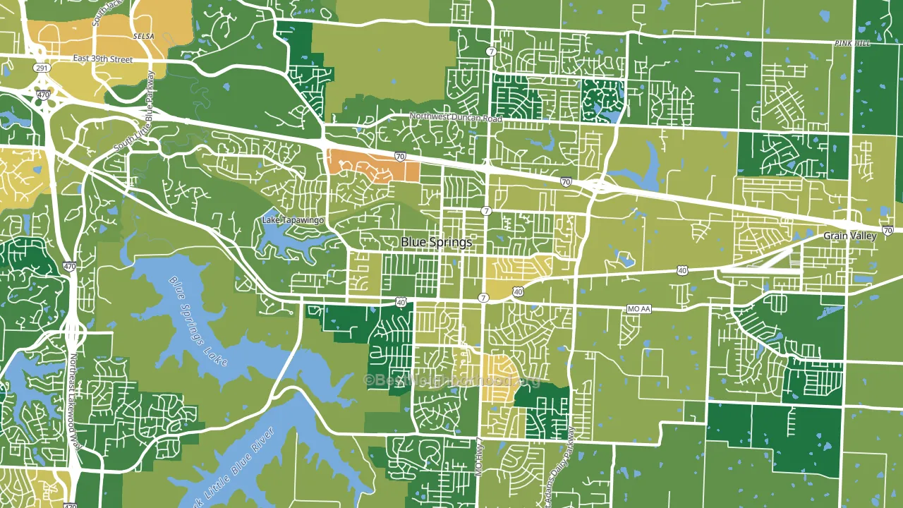 Blue Springs, MO block-group voter-turnout map