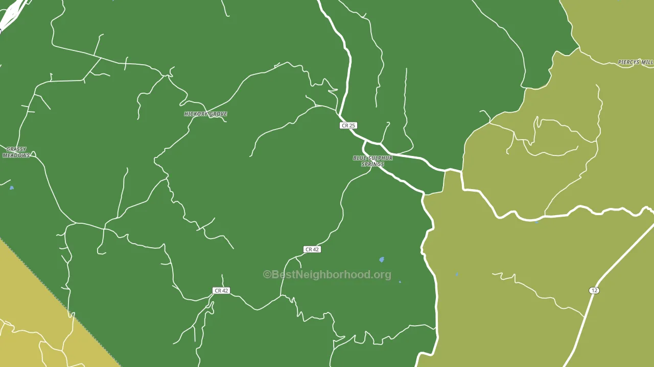 Blue Sulphur Springs, WV block-group voter-turnout map
