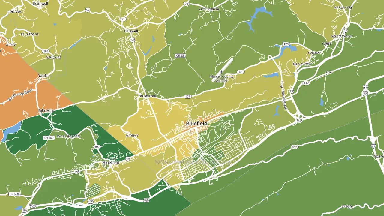 Bluefield, WV block-group voter-turnout map