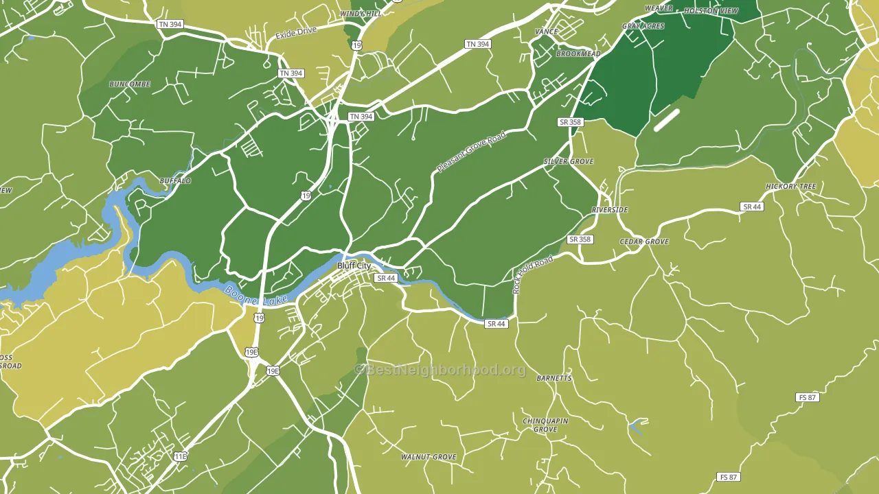 Bluff City, TN block-group voter-turnout map