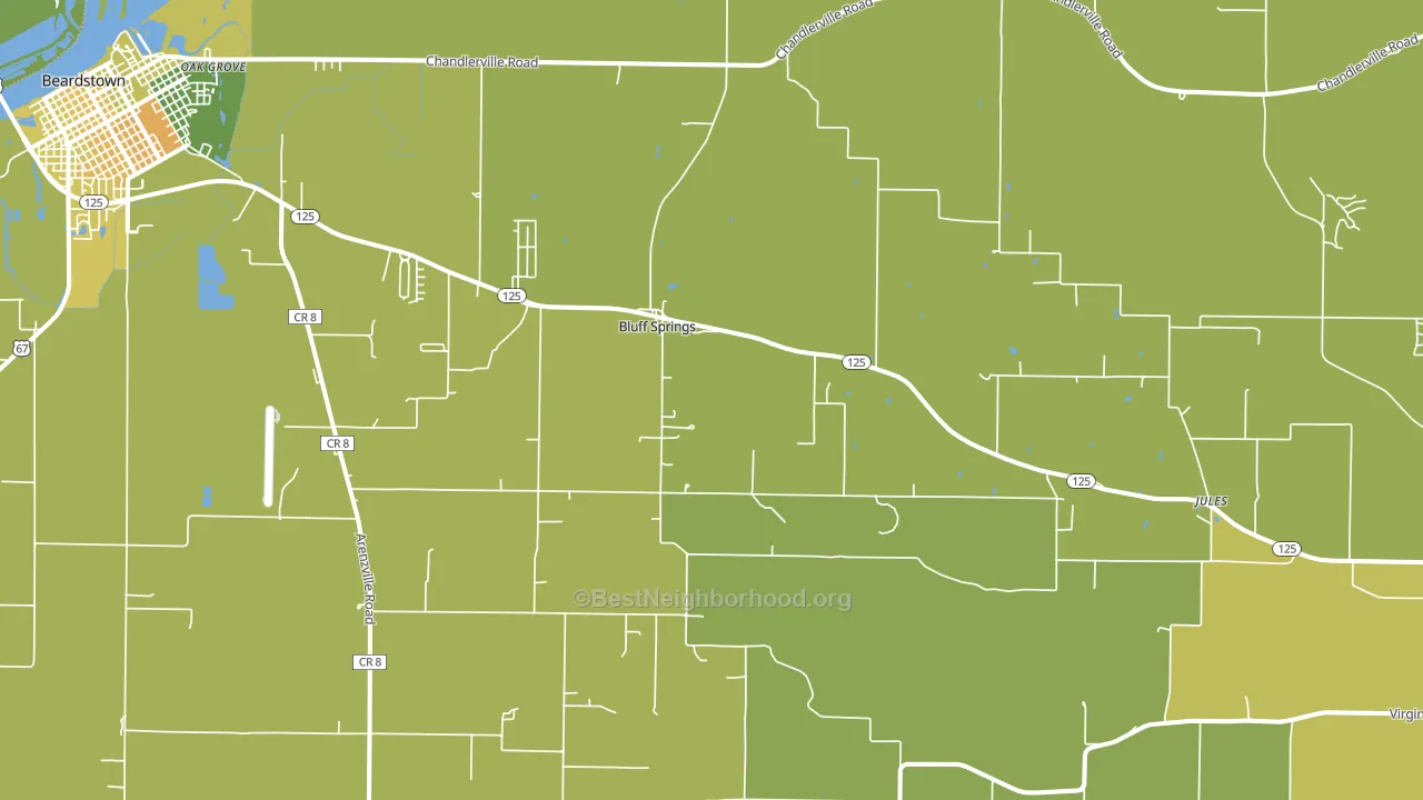Bluff Springs, IL block-group voter-turnout map