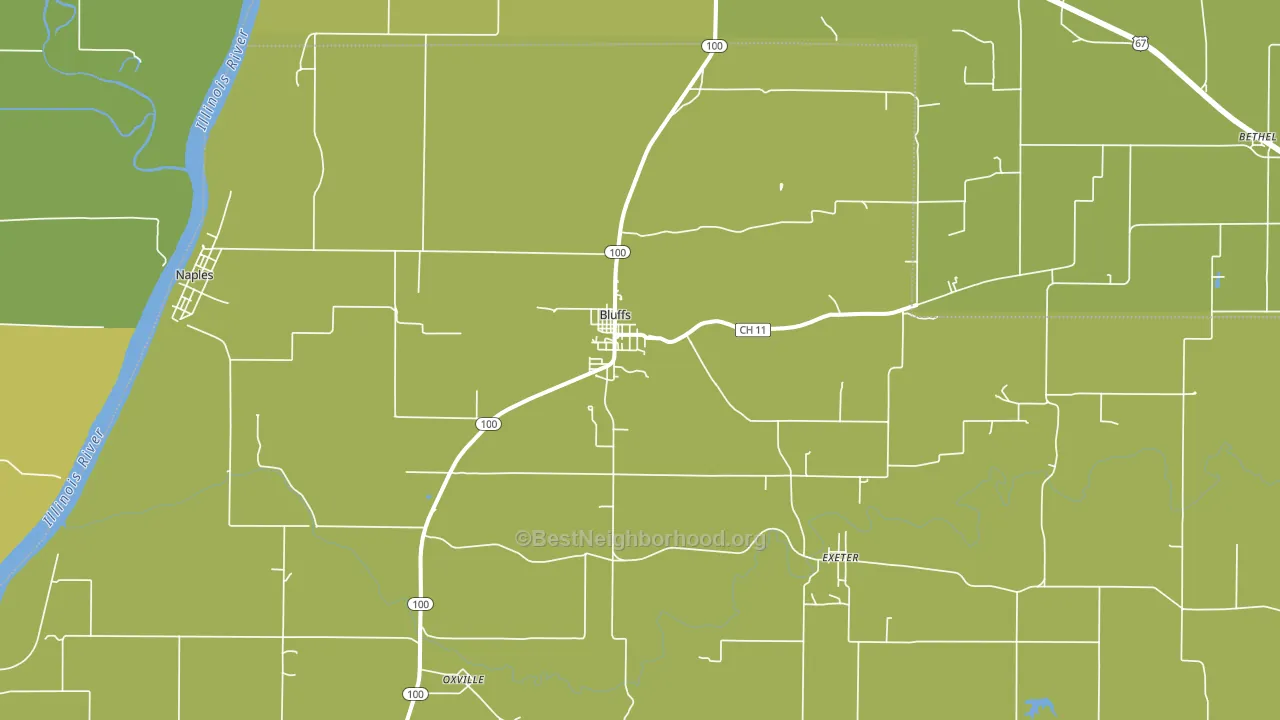 Bluffs, IL block-group voter-turnout map
