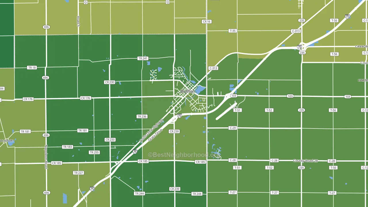 Bluffton, OH block-group voter-turnout map