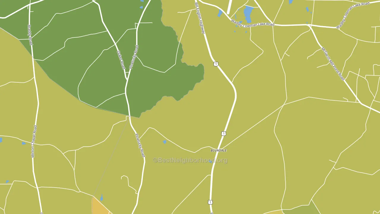 Blundale, GA block-group voter-turnout map